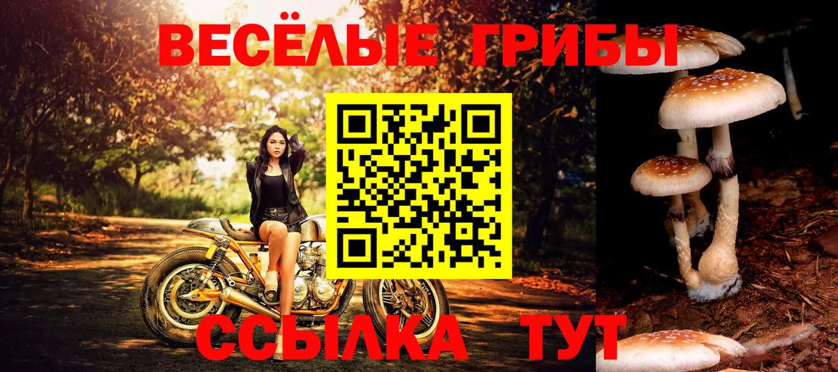 Учалы  Псилоцибиновые грибы мухоморы  Галлюциногенные грибы Cubensis  Вход с VPN 